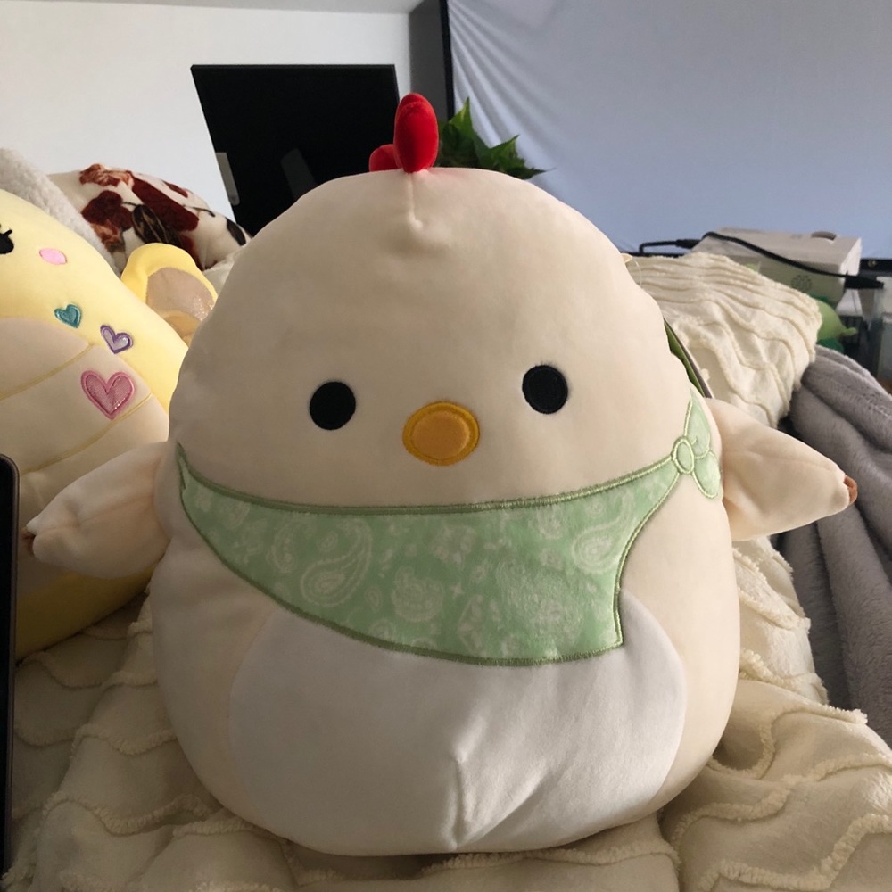 Todd Squishmallow NWT